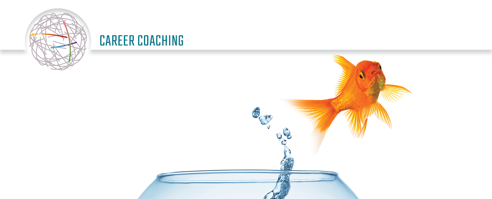 career-coaching